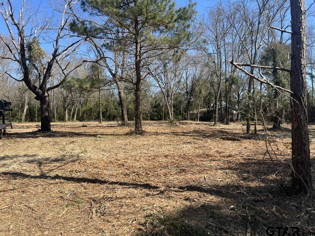 5770 County Road 334 Tyler, TX 75708 - Photo 11 of 12 a view of outdoor space with trees
