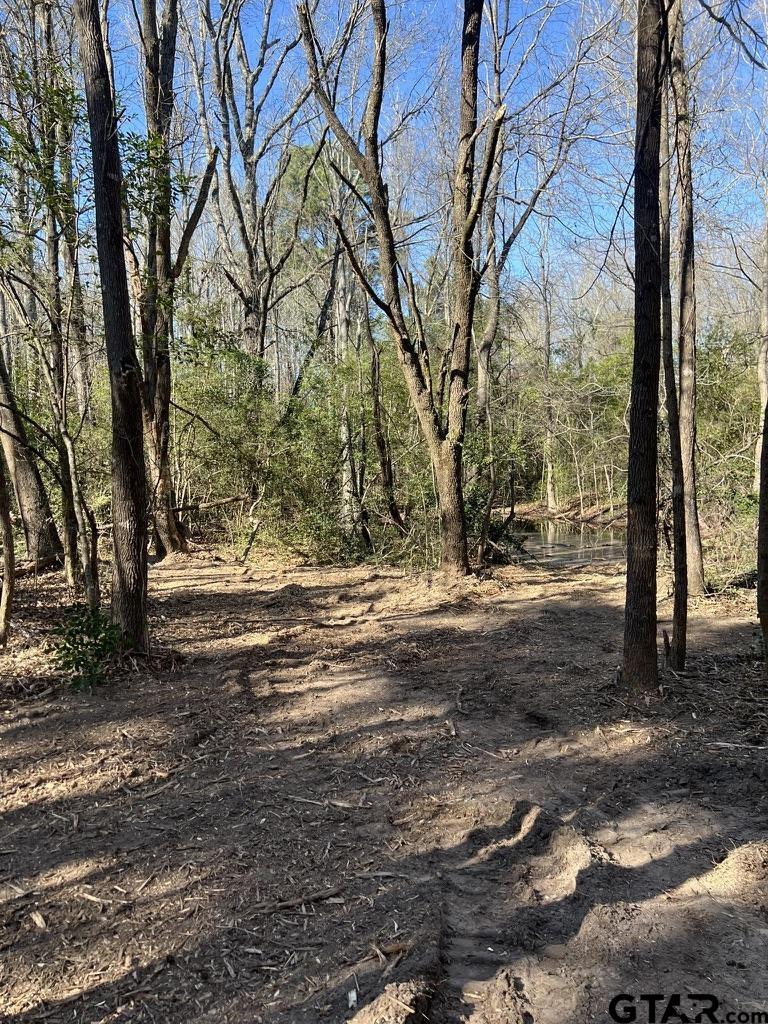 5770 County Road 334 Tyler, TX 75708 - Photo 14 of 14 a view of yard with tree