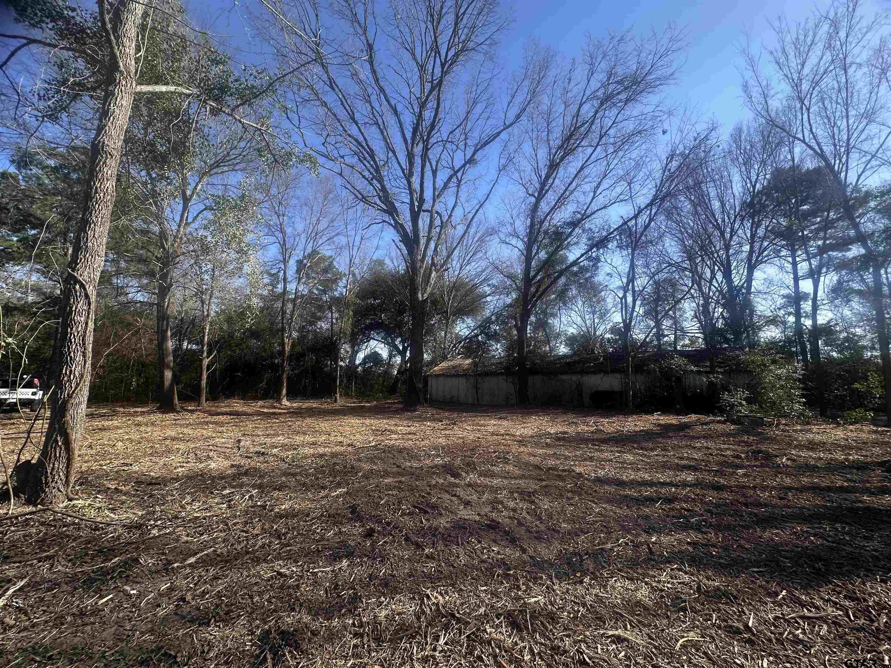 5770 County Road 334 Tyler, TX 75708 - Photo 2 of 12 a view of empty space with trees