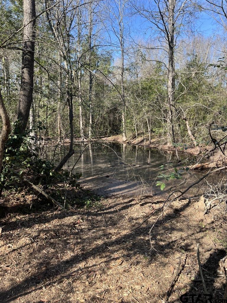 5770 County Road 334 Tyler, TX 75708 - Photo 4 of 12 a view of a yard