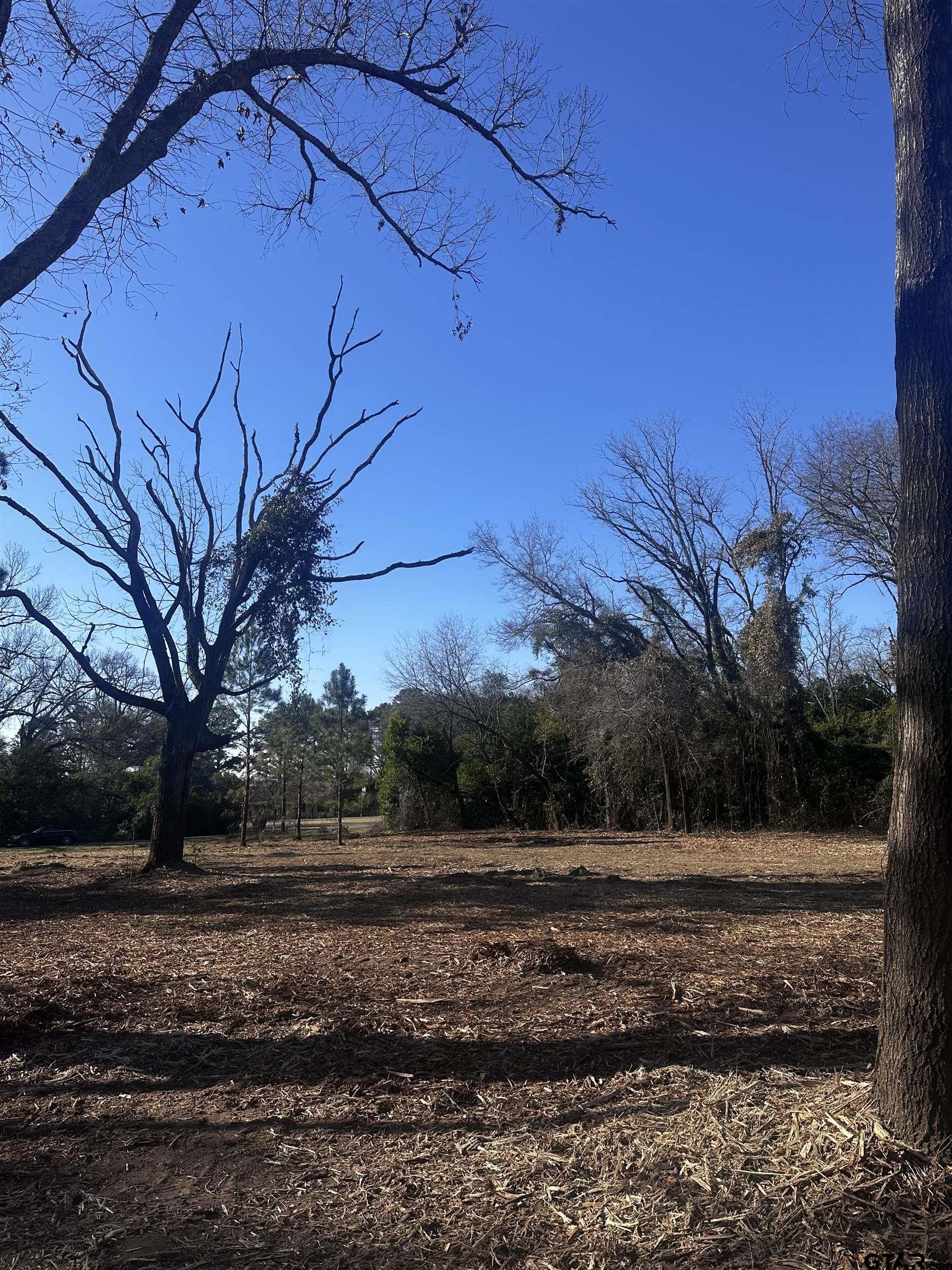 5770 County Road 334 Tyler, TX 75708 - Photo 9 of 14 a view of a yard with wooden fence