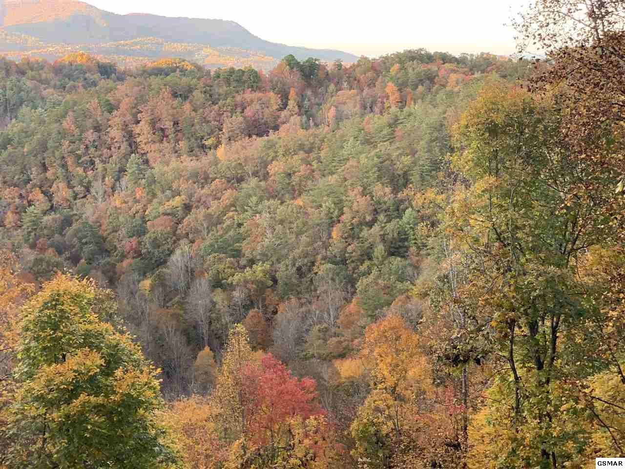 3512 Sugar Maple Loop Road Sevierville, TN 37862 - Photo 33 of 33 Gallery Image 33