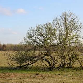 $1,063,750 | 5020 Metting School Road, Cuero, TX 77954