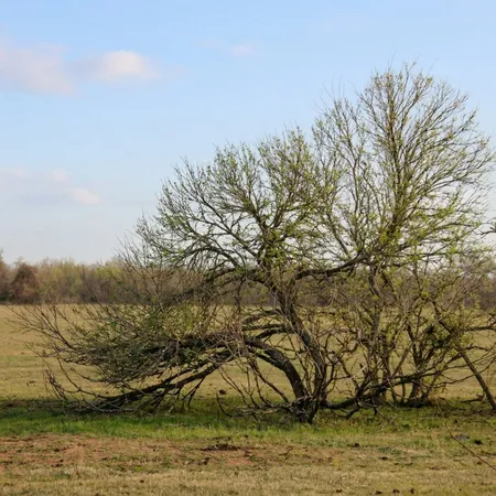 $1,063,750 | 5020 Metting School Road, Cuero, TX 77954