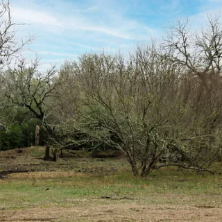 $1,063,750 | 5020 Metting School Road, Cuero, TX 77954