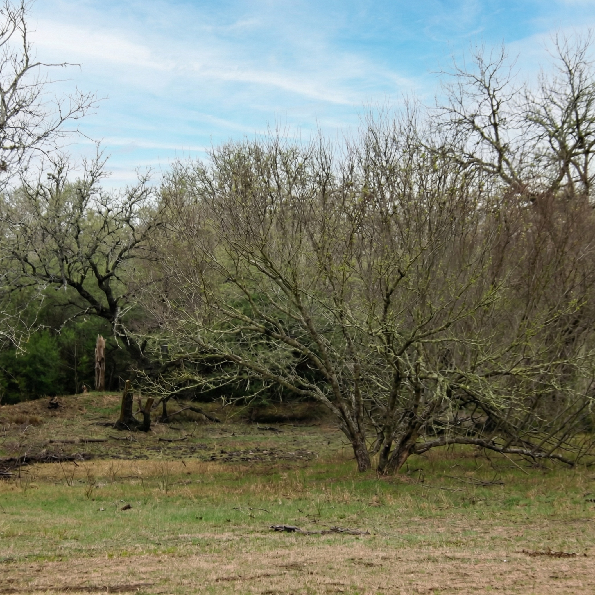 5020 Metting School Road Cuero, TX 77954 - Photo 4 of 10