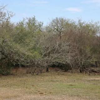 $1,063,750 | 5020 Metting School Road, Cuero, TX 77954