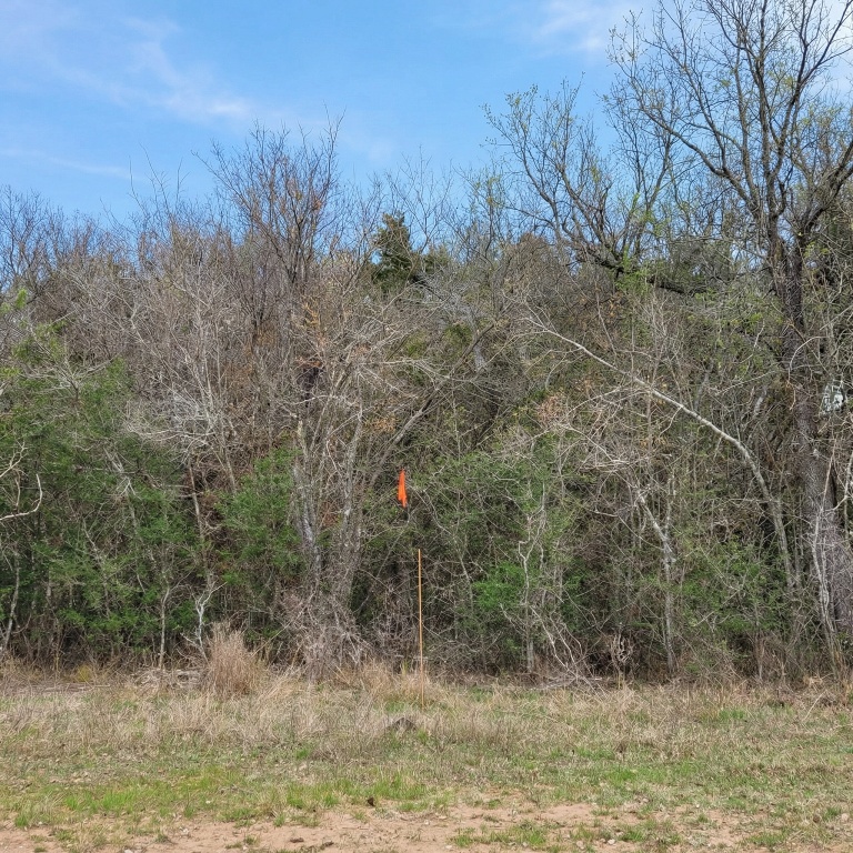 5020 Metting School Road Cuero, TX 77954 - Photo 6 of 11 a view of a forest filled with trees