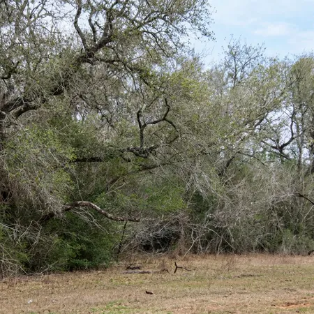 $1,063,750 | 5020 Metting School Road, Cuero, TX 77954
