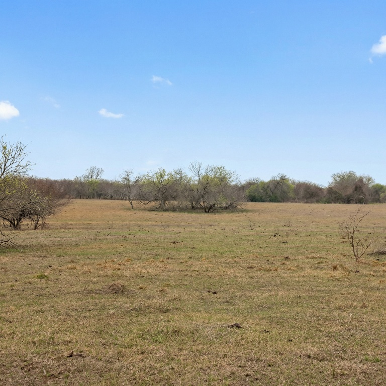 5020 Metting School Road Cuero, TX 77954 - Photo 8 of 11 a view of lake with mountain in the background