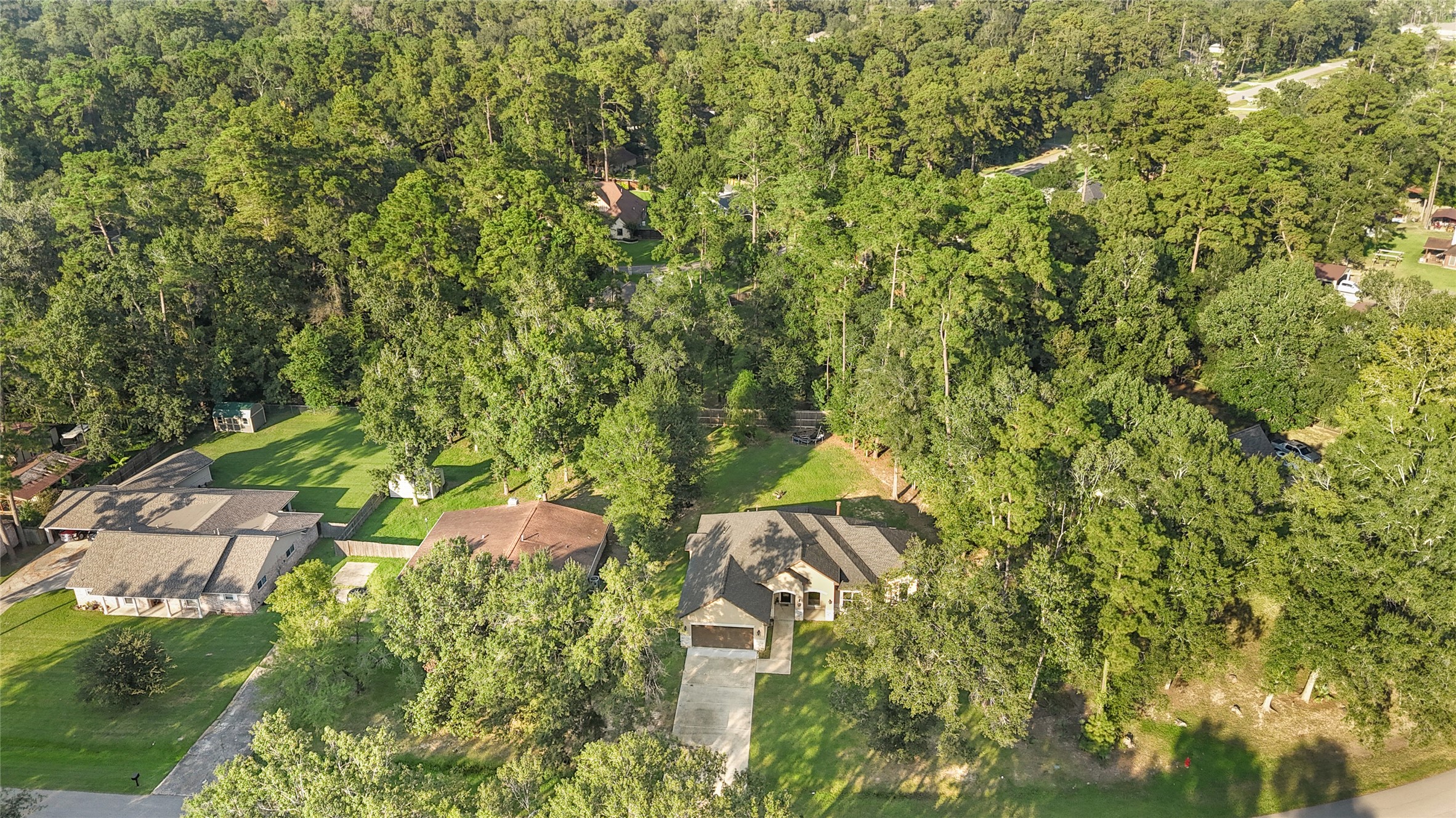 642 Parthenon Place New Caney, TX 77357 - Photo 27 of 30 a view of a yard with plants and large trees