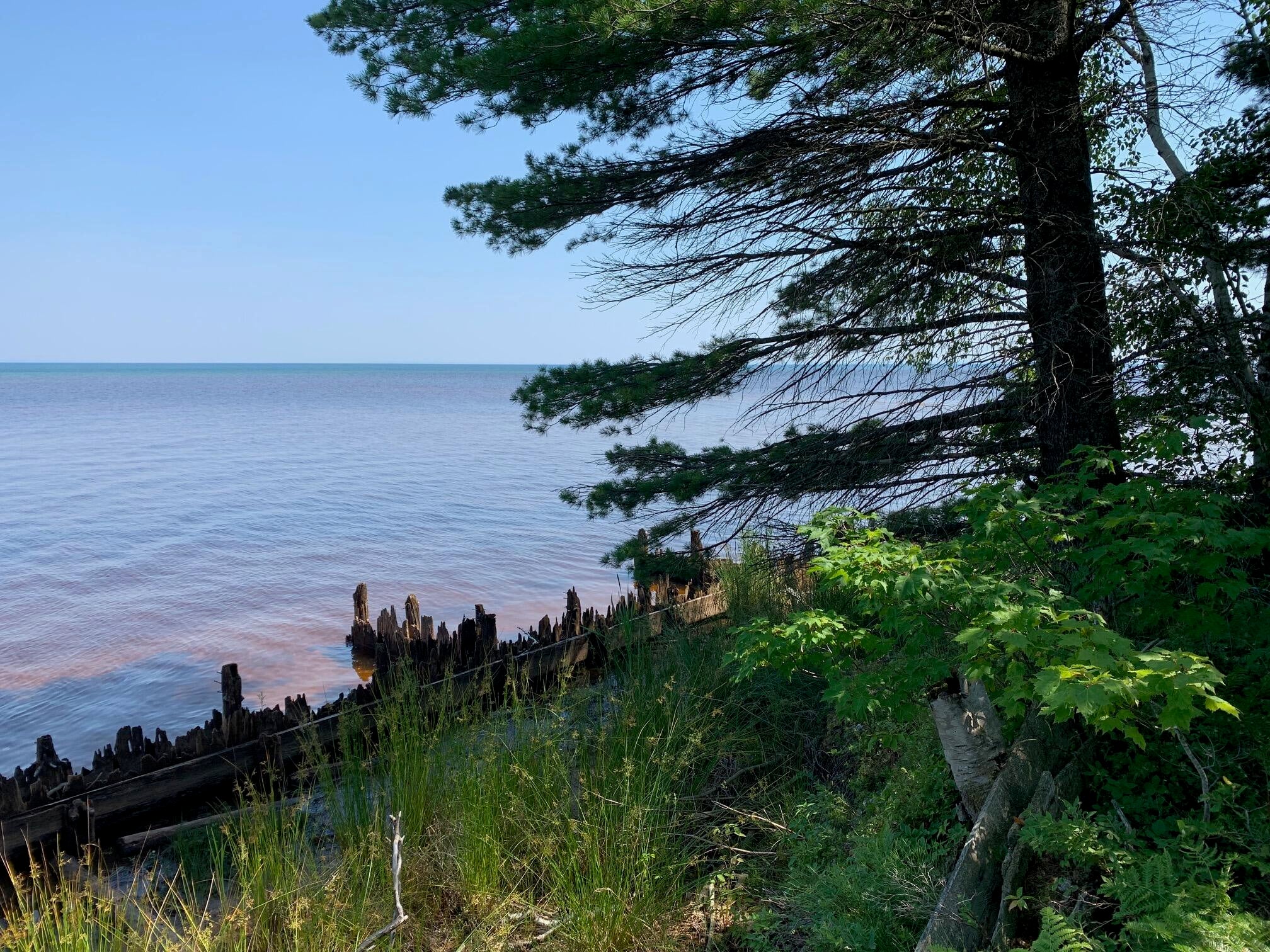 10966 North Whitefish Point Road Paradise, MI 49768 - Photo 5 of 30 Gallery Image 5