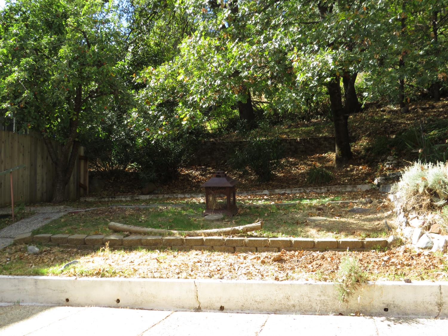 320 Pleasant Street Colfax, CA 95713 - Photo 35 of 49 a view of a yard with large trees