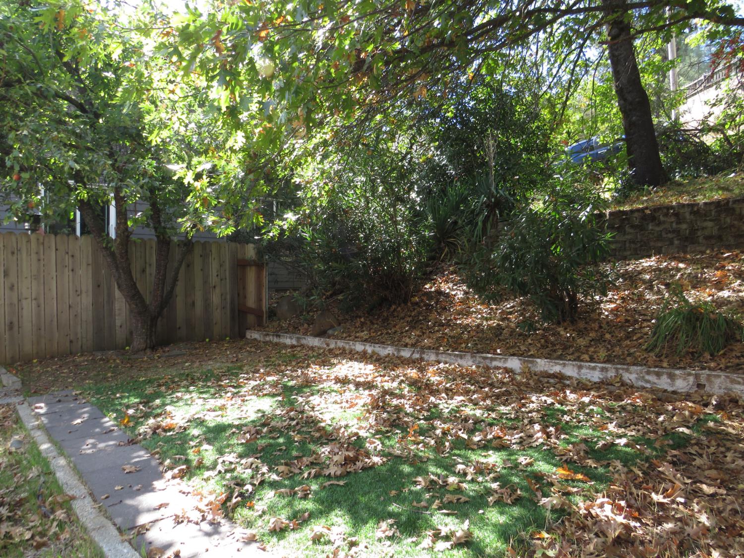 320 Pleasant Street Colfax, CA 95713 - Photo 36 of 49 a view of a yard with a tree