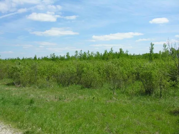 $260,000 | 58381 140th Street, Rose Creek, MN 55970