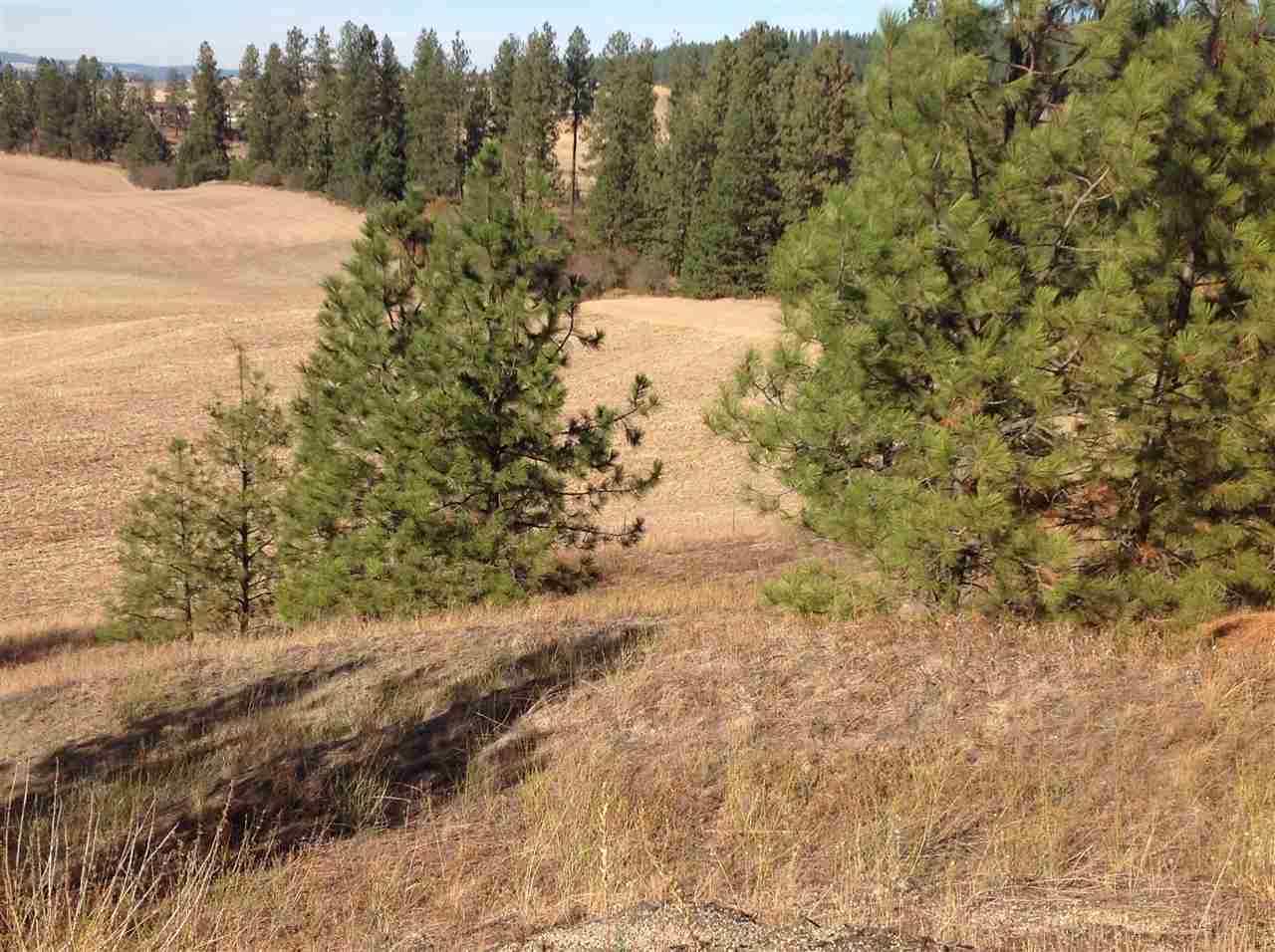 Nka East Taylor Road Mead, WA 99021 - Photo 1 of 7