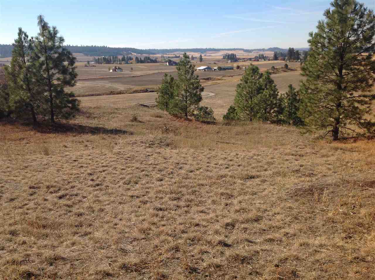 Nka East Taylor Road Mead, WA 99021 - Photo 4 of 7