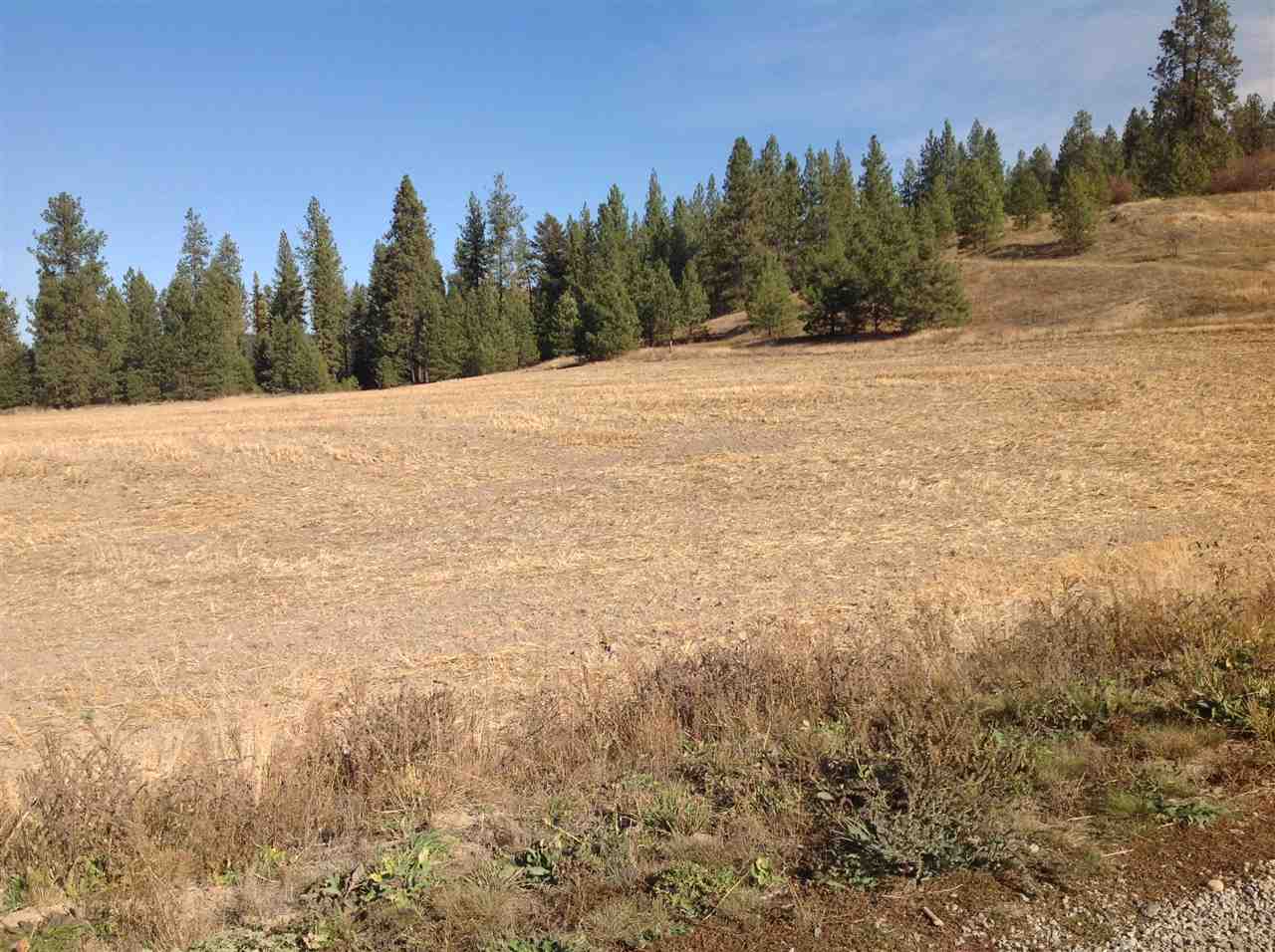 Nka East Taylor Road Mead, WA 99021 - Photo 5 of 7
