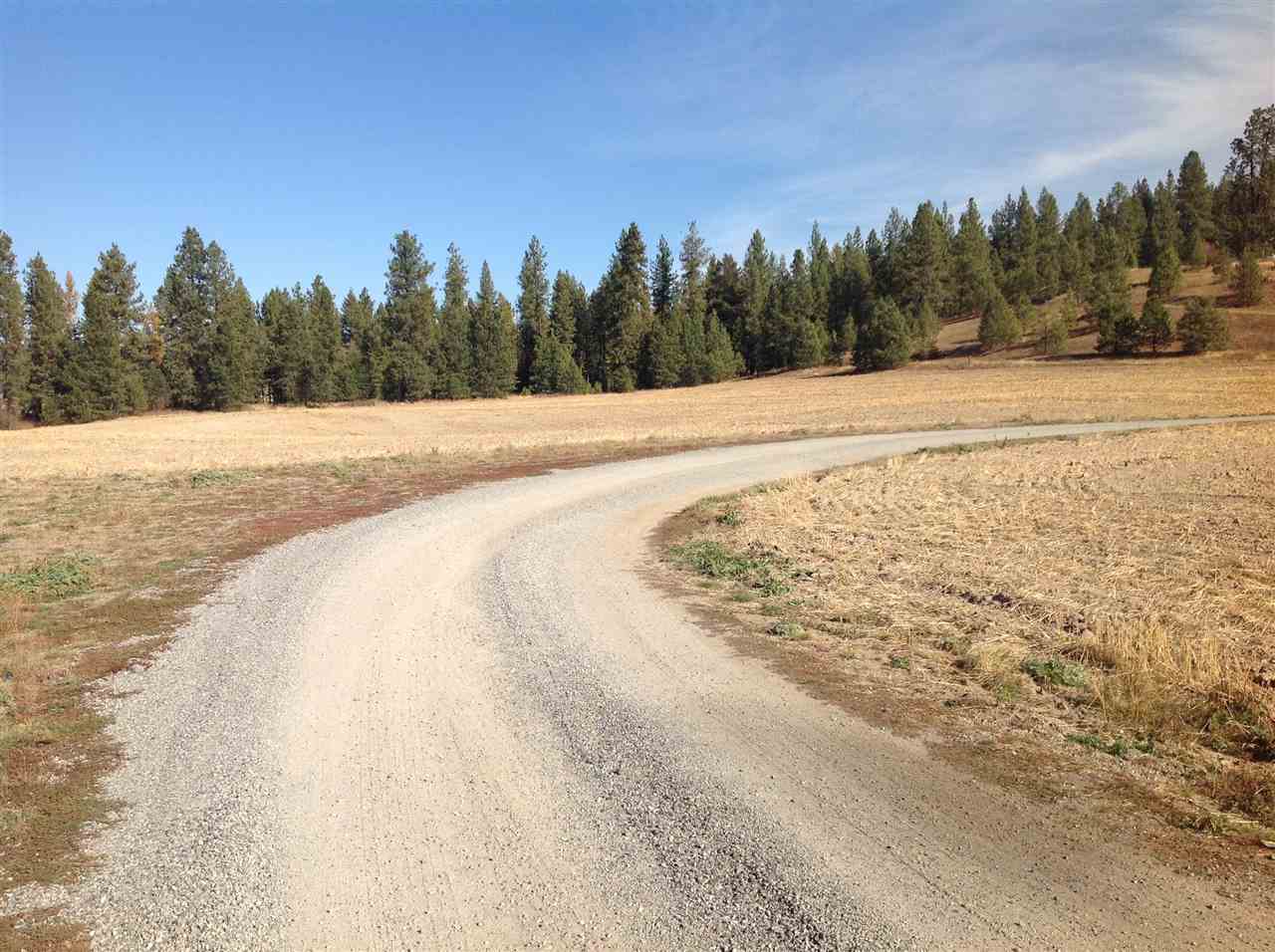 Nka East Taylor Road Mead, WA 99021 - Photo 6 of 7