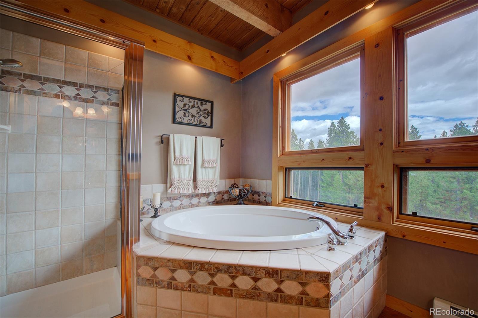 31421 Shadow Mountain Drive Conifer, CO 80433 - Photo 30 of 40