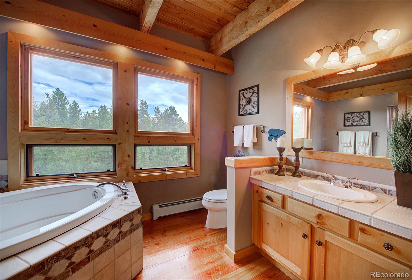 31421 Shadow Mountain Drive Conifer, CO 80433 - Photo 31 of 40