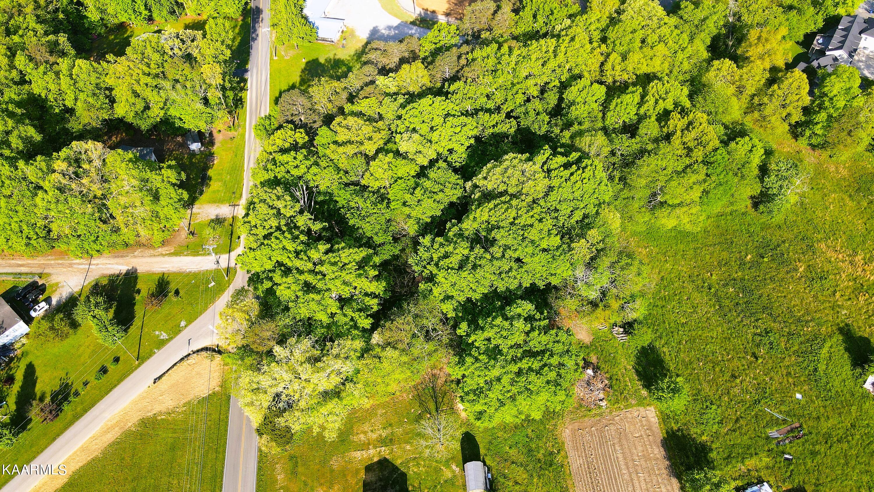 Maple Hill Road Loudon, TN 37774 - Photo 8 of 13 DJI_0043