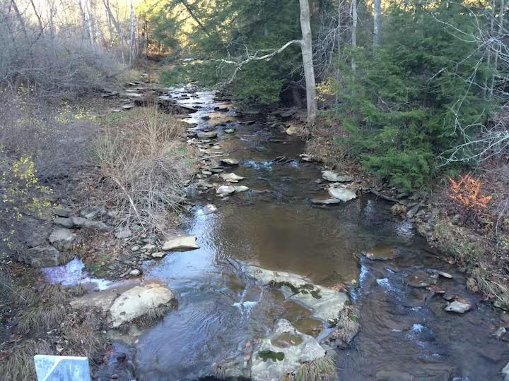 3906 Master Road Emlenton, PA 16373 - Photo 31 of 31 a view of water pond with green space