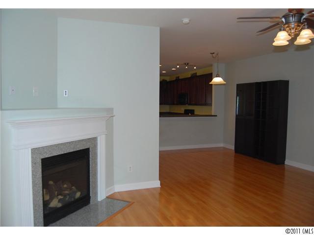 1042 Market Street, Unit 1042 Fort Mill, SC 29708 - Photo 4 of 15