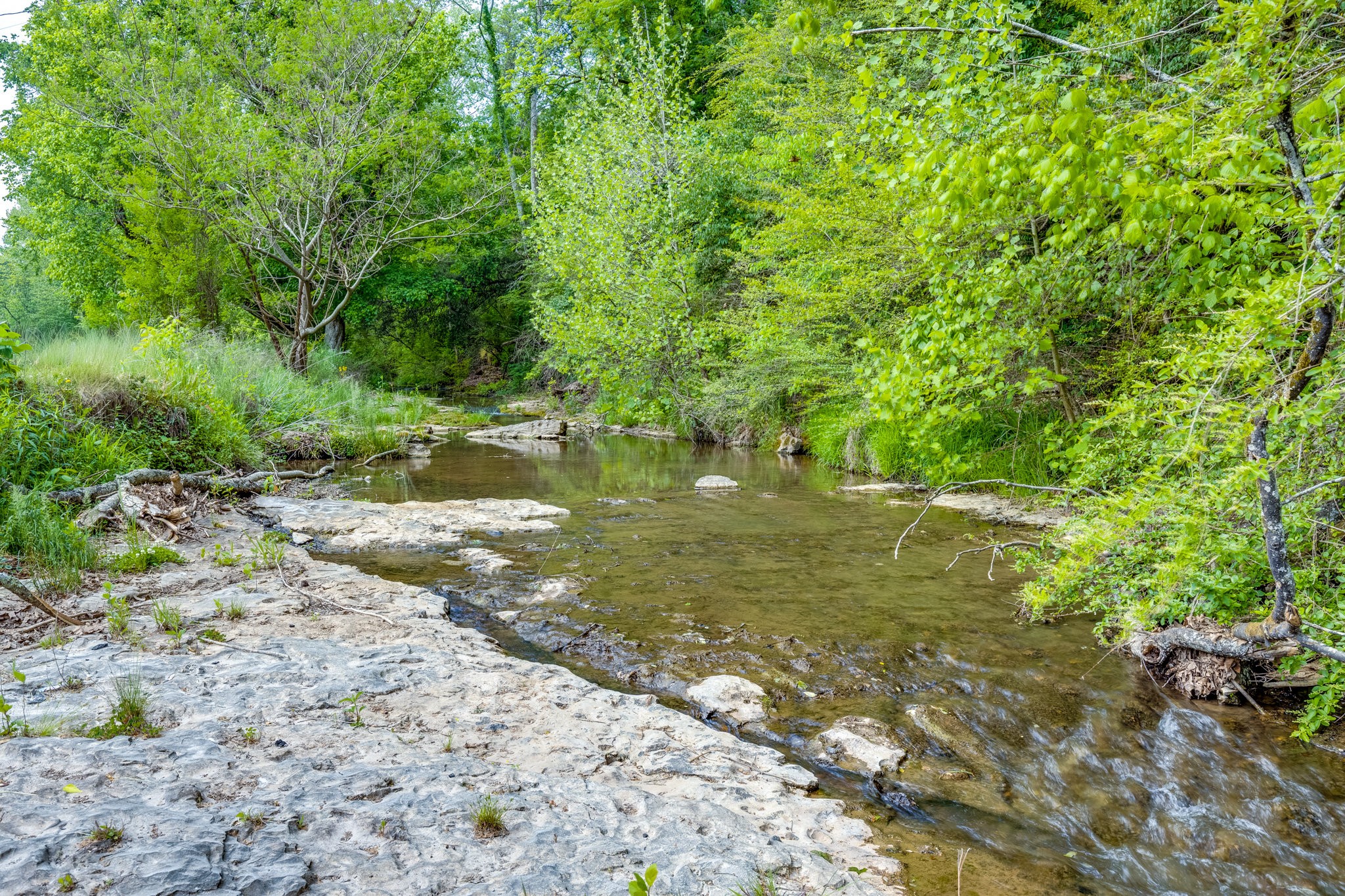 2012 Hoovers Road Duck River, TN 38454 - Photo 37 of 48 a view of a lush green space