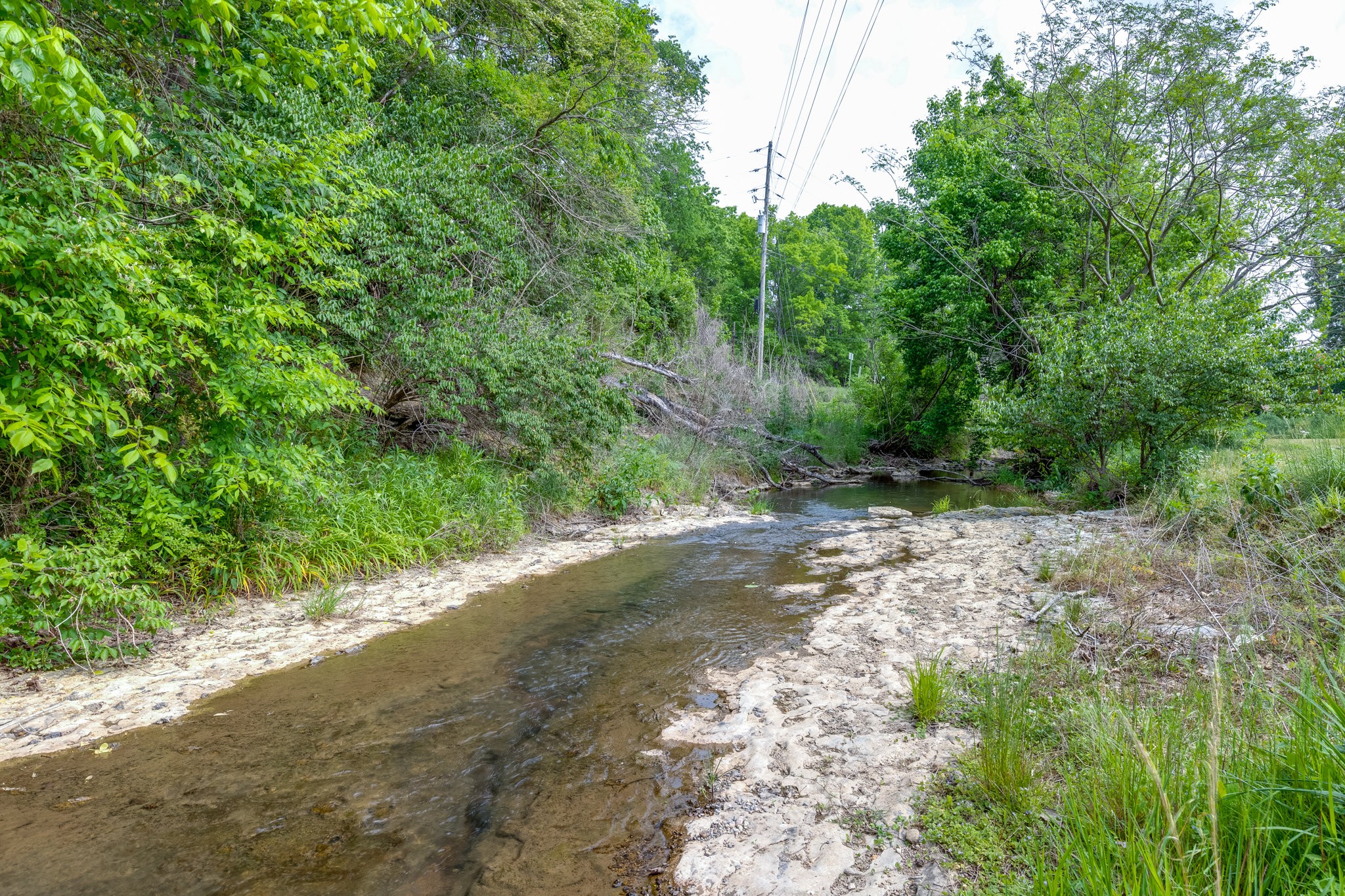 2012 Hoovers Road Duck River, TN 38454 - Photo 38 of 48 a view of a forest with trees