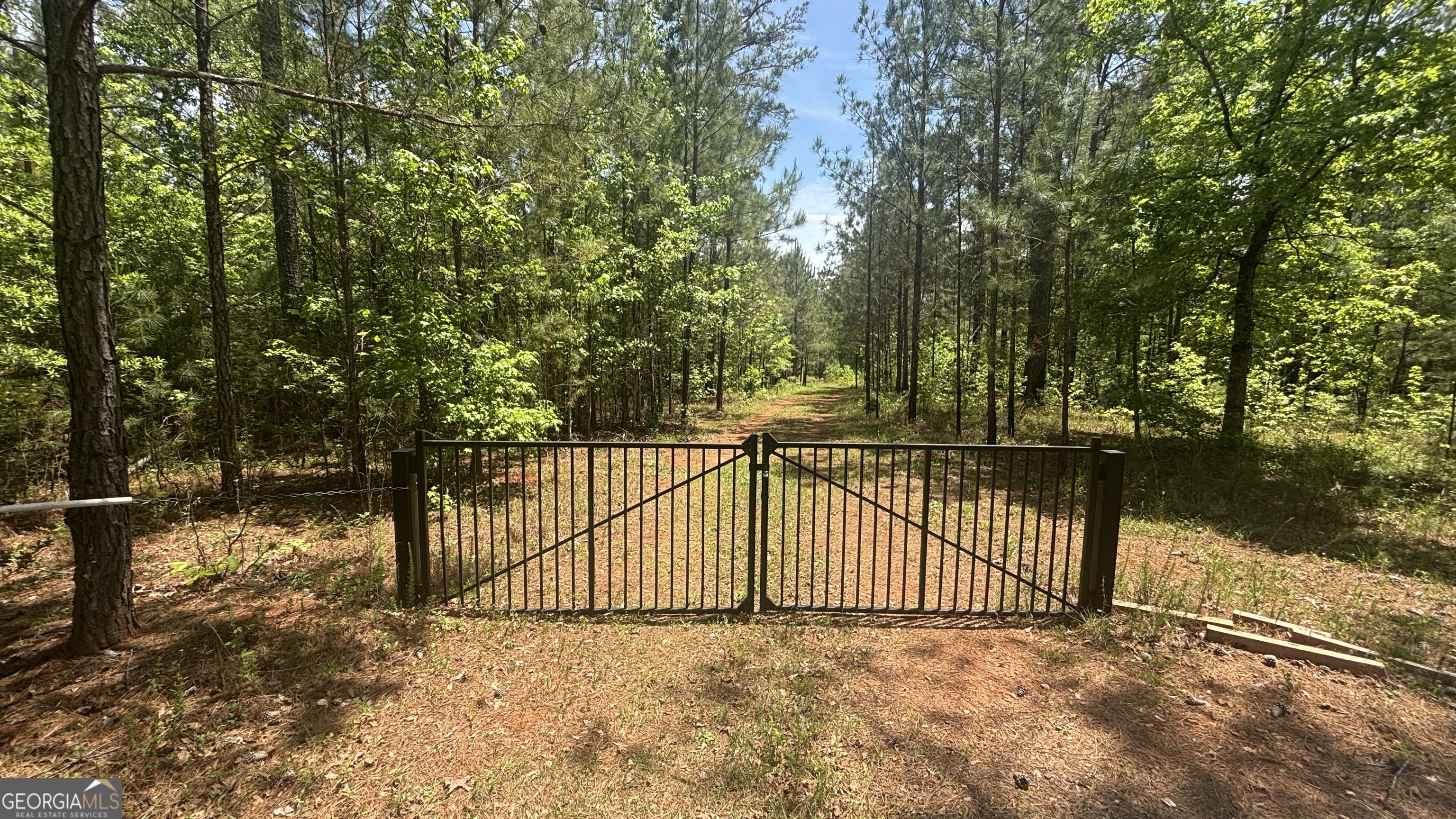 537 Zellner Road Forsyth, GA 31029 - Photo 1 of 3
