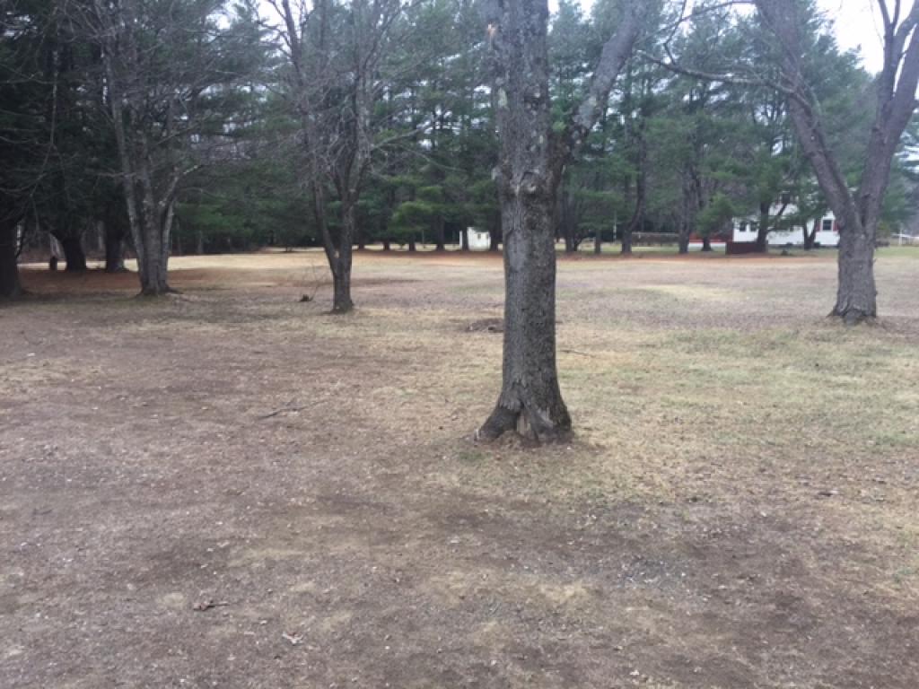 145 Back River Road Bedford, NH 03110 - Photo 2 of 10