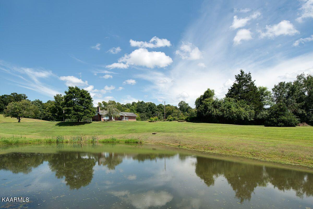 172 Smith Road Clinton, TN 37716 - Photo 18 of 23 Pond shot