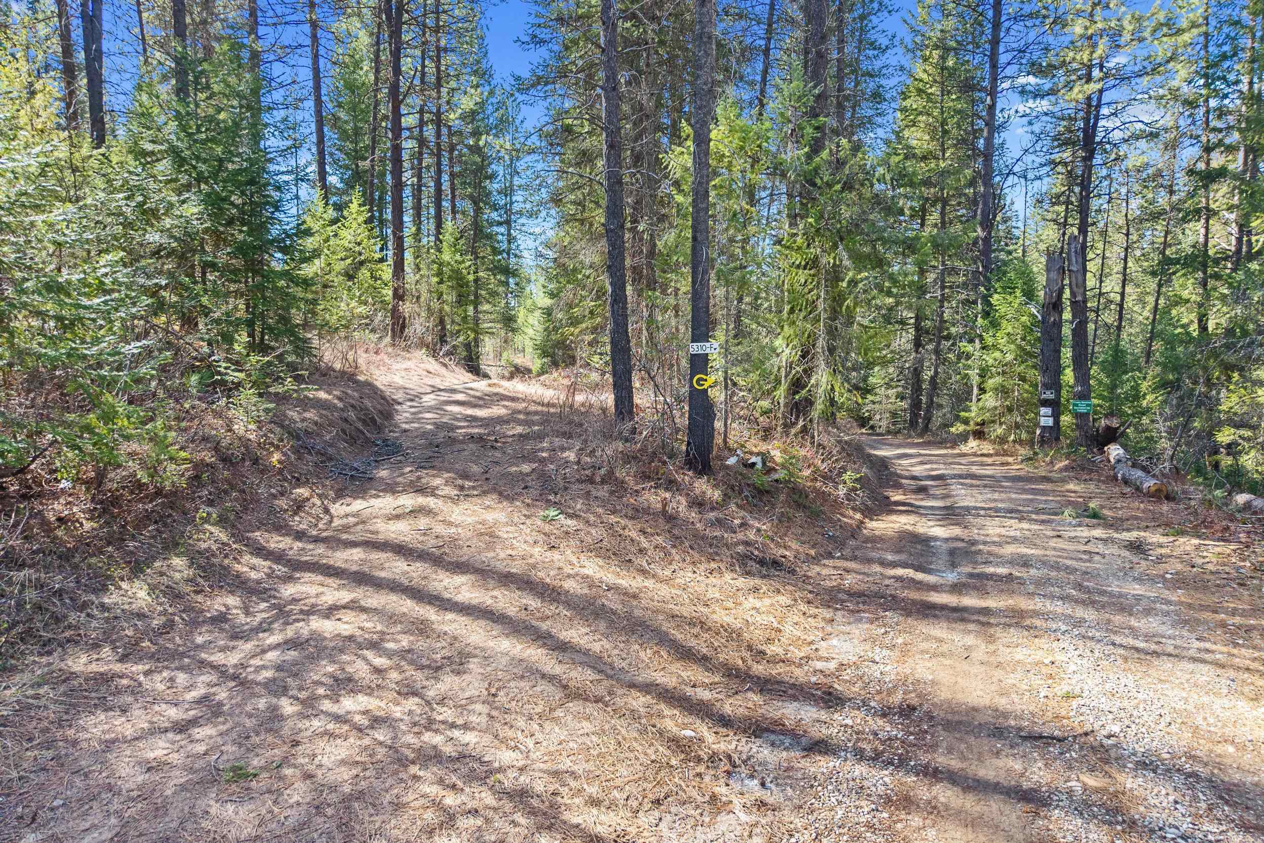 5324 Olinger Road Springdale, WA 99173 - Photo 22 of 36