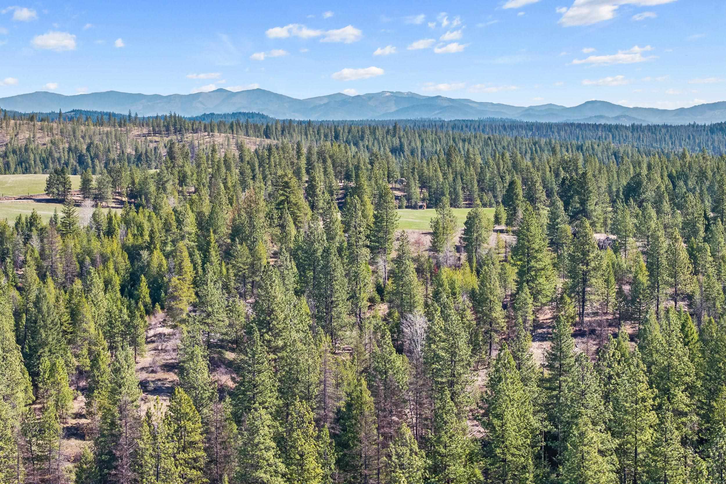 5324 Olinger Road Springdale, WA 99173 - Photo 26 of 36