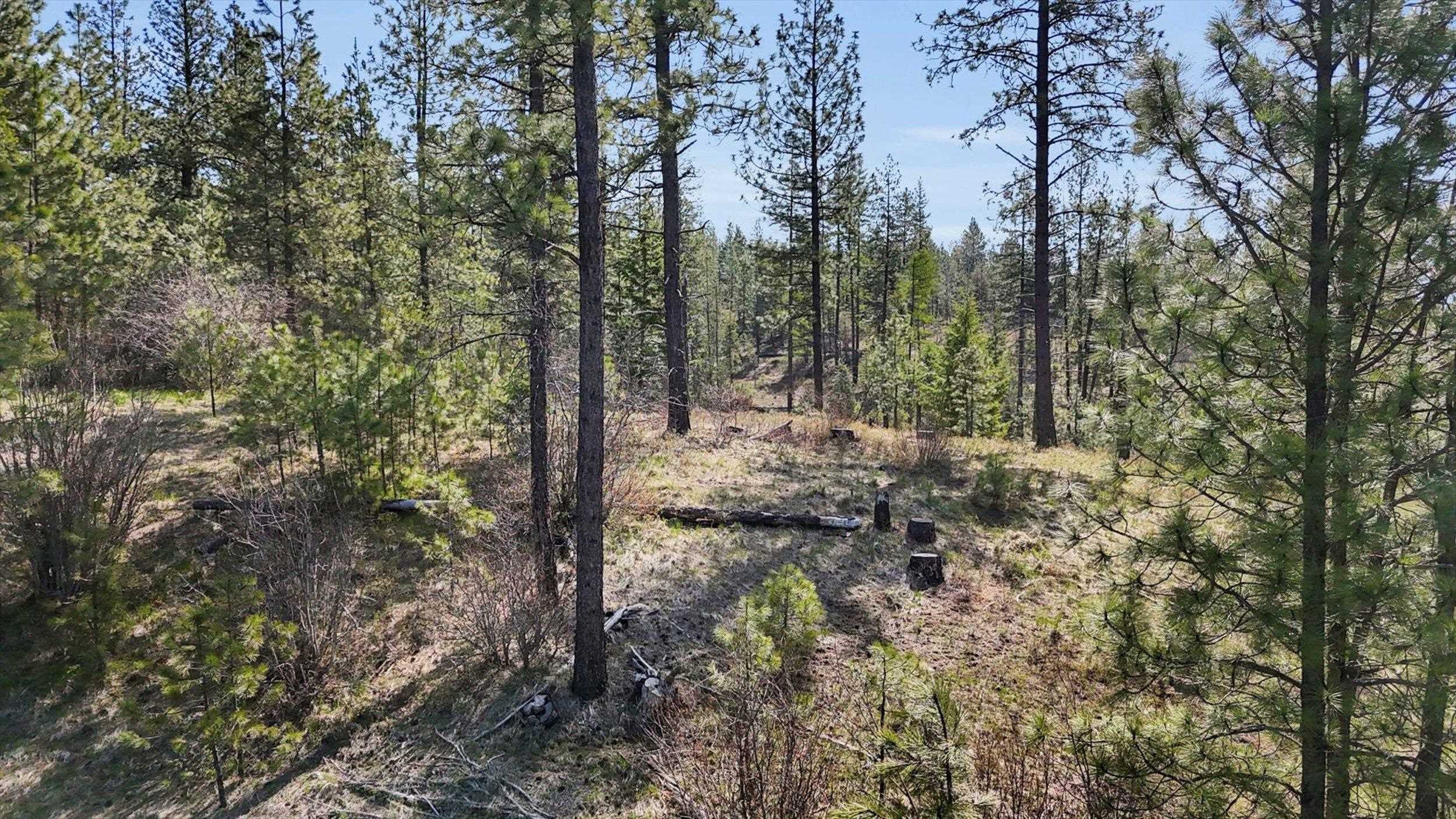 5324 Olinger Road Springdale, WA 99173 - Photo 27 of 36
