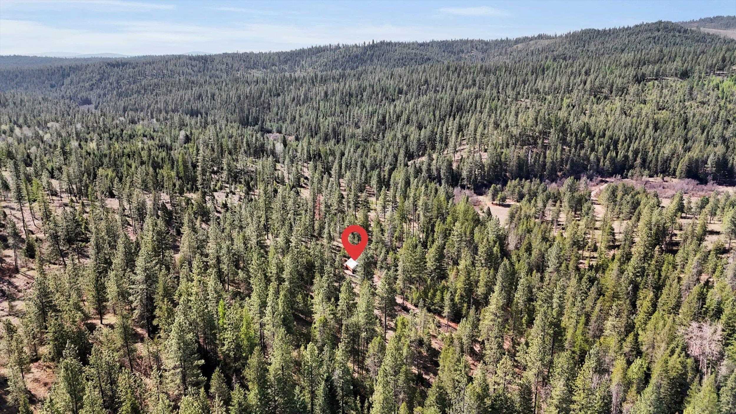 5324 Olinger Road Springdale, WA 99173 - Photo 33 of 36