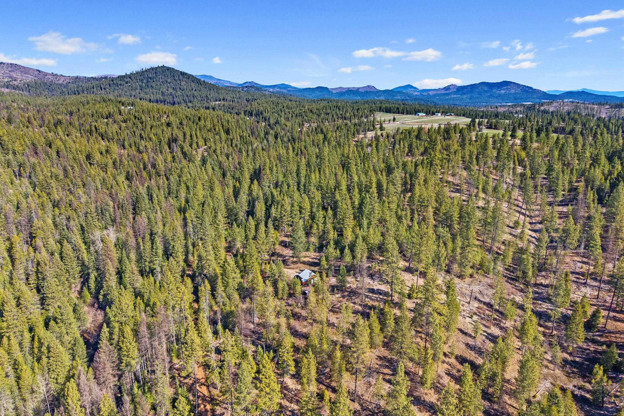 5324 Olinger Road Springdale, WA 99173 - Photo 5 of 36