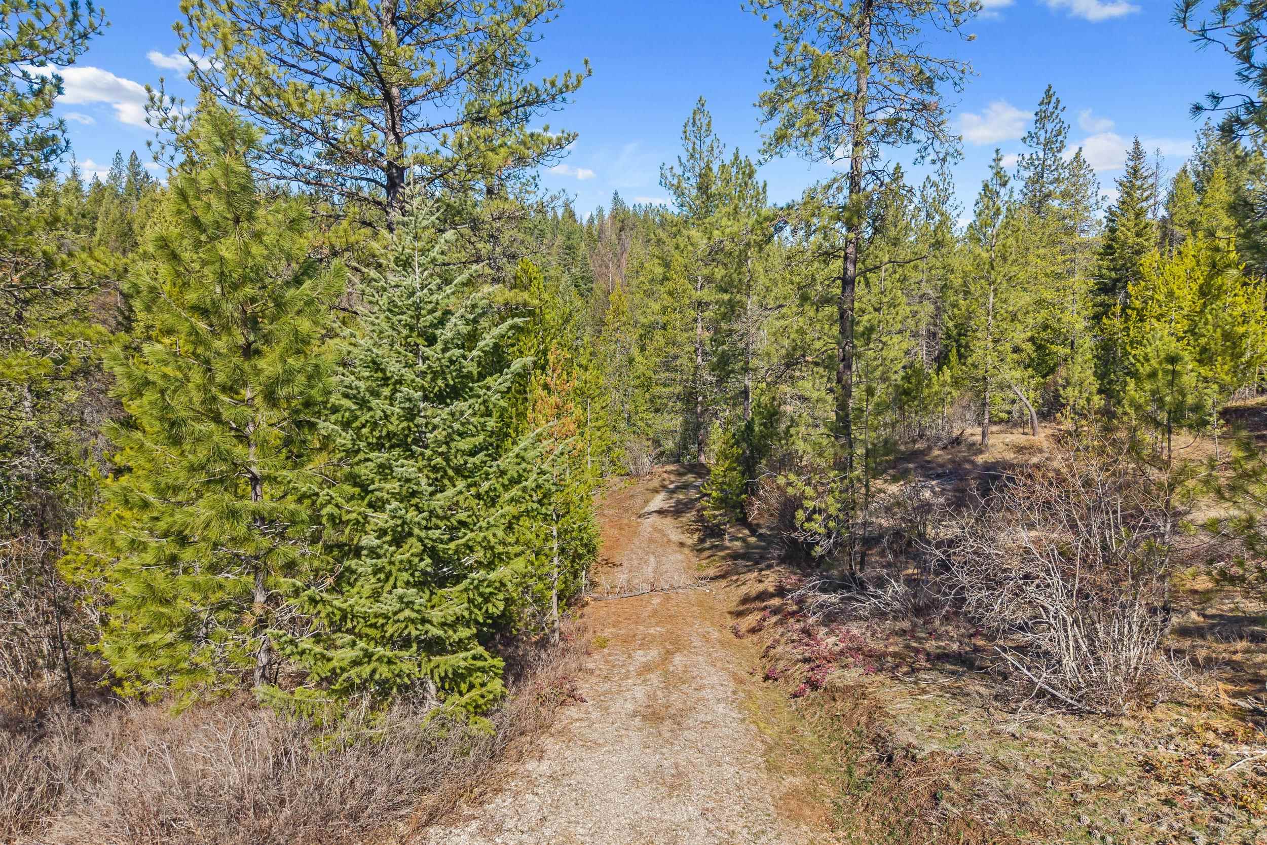 5324 Olinger Road Springdale, WA 99173 - Photo 8 of 36