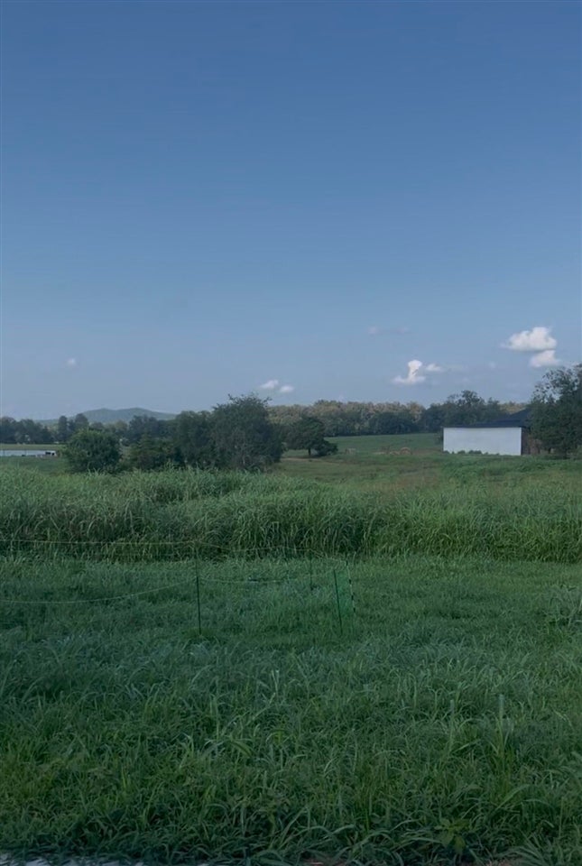1174 Fairview Church-Pascal Road Hardyville, KY 42746 - Photo 8 of 10 Gallery Image 8
