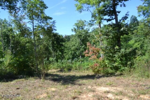 9.85-ac Rock Springs Road Celina, TN 38551 - Photo 15 of 48 DSC_0041