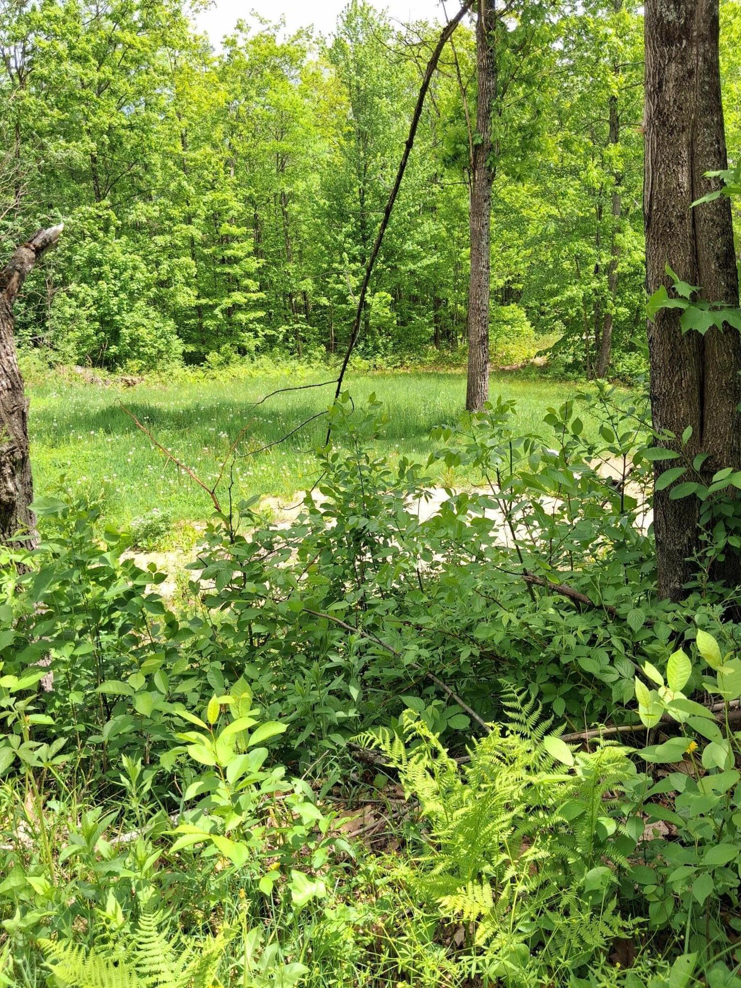 209 Adams Road Chesterville, ME 04938 - Photo 1 of 9 Lawn
