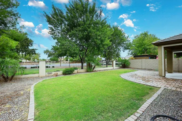 a view of field with tall trees