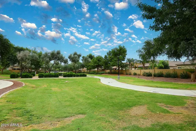 a view of a park with slide