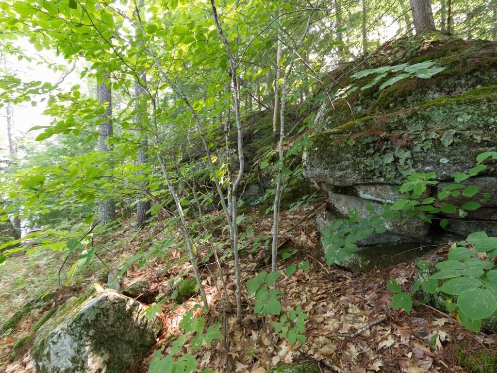 Lot 12 Gore Road Naples, ME 04055 - Photo 19 of 29 Photo