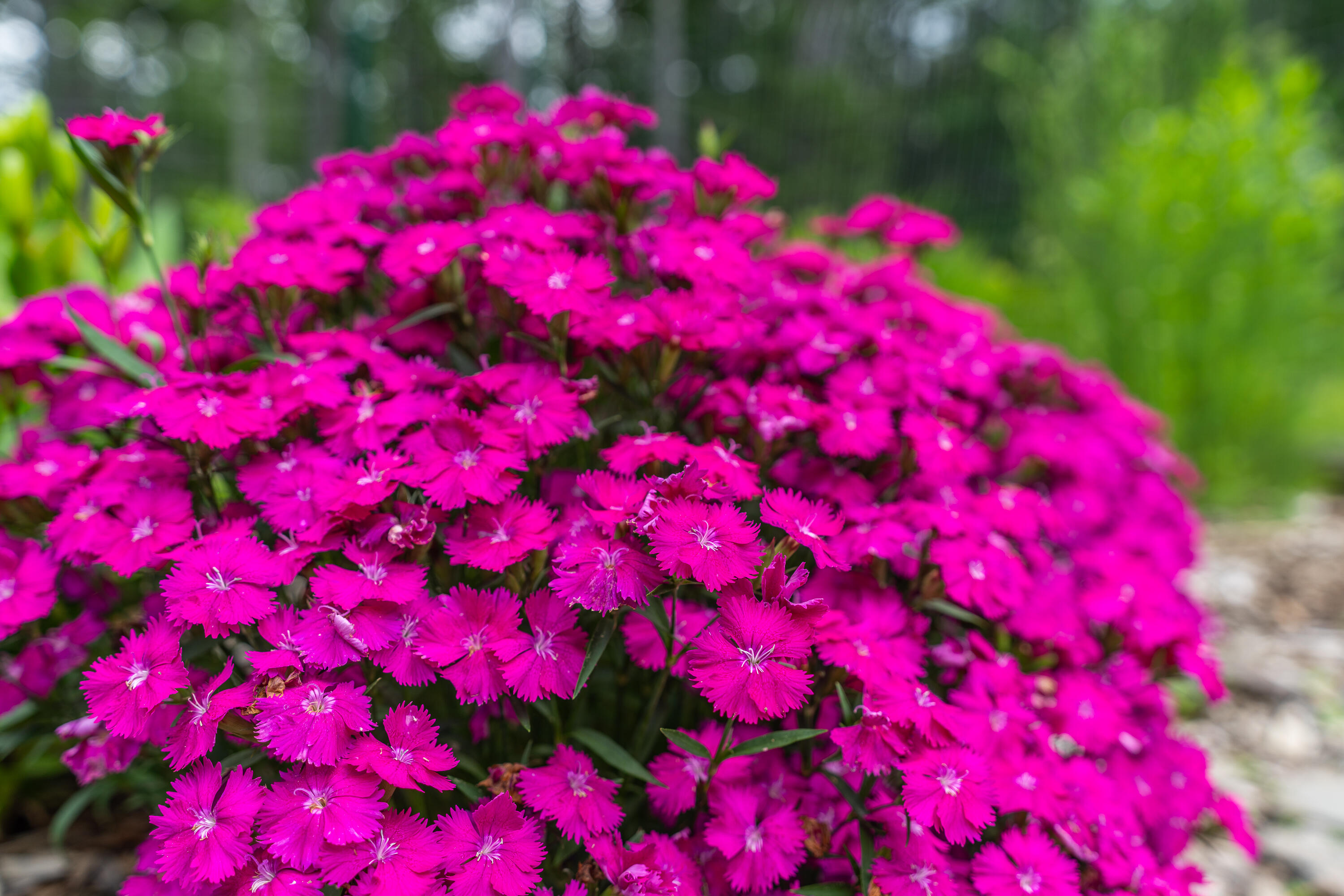 52 Oak Run Road Westport Island, ME 04578 - Photo 143 of 200