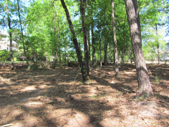 201 Lady Banks Road Aiken, SC 29803 - Photo 4 of 6