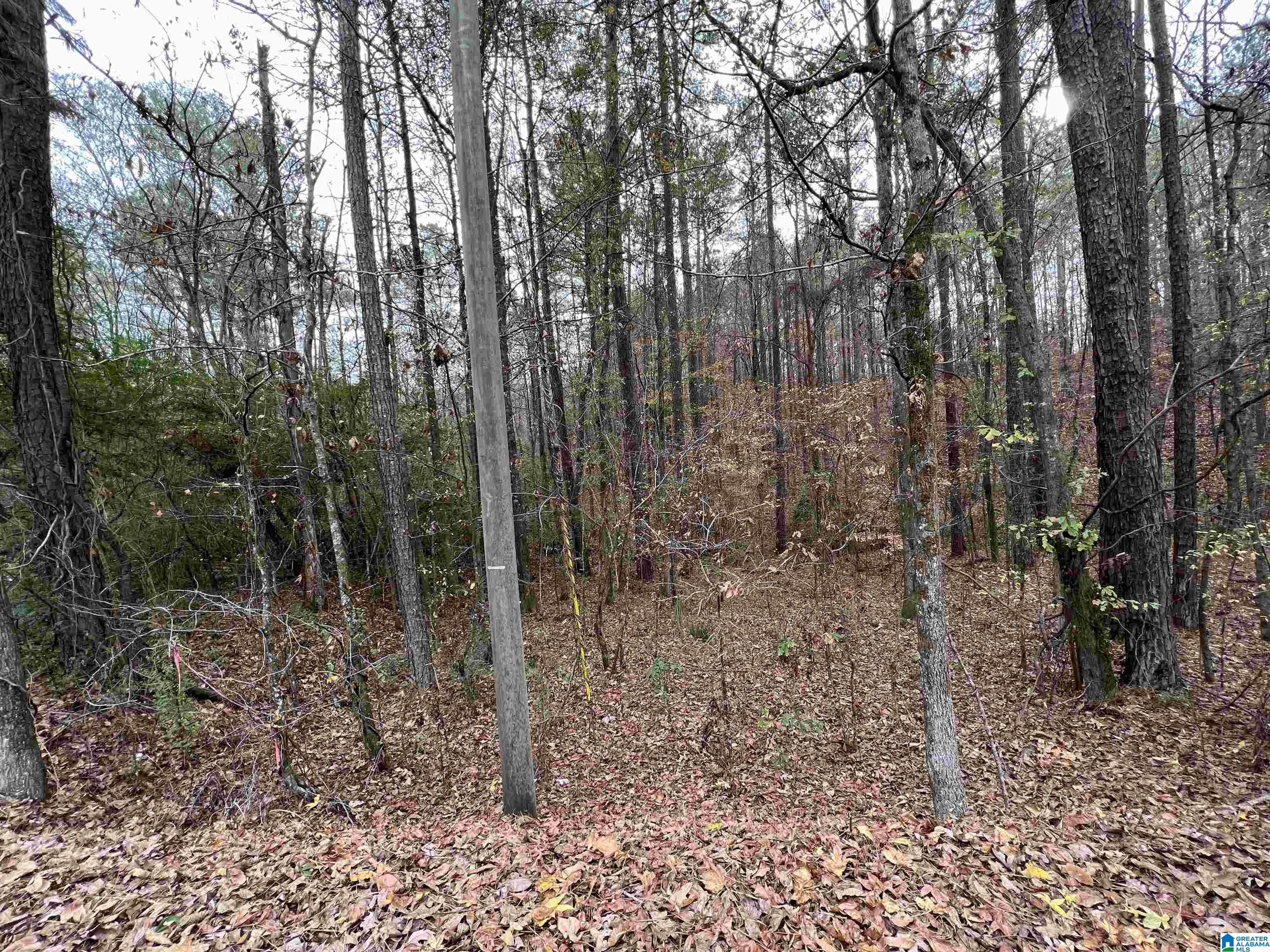 0 Hephzibah Church Road, Unit 8 McCalla, AL 35111 - Photo 2 of 2