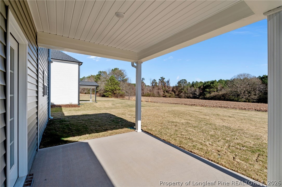 290 Elijah Way Vass, NC 28394 - Photo 44 of 45 a view of a back yard of the house