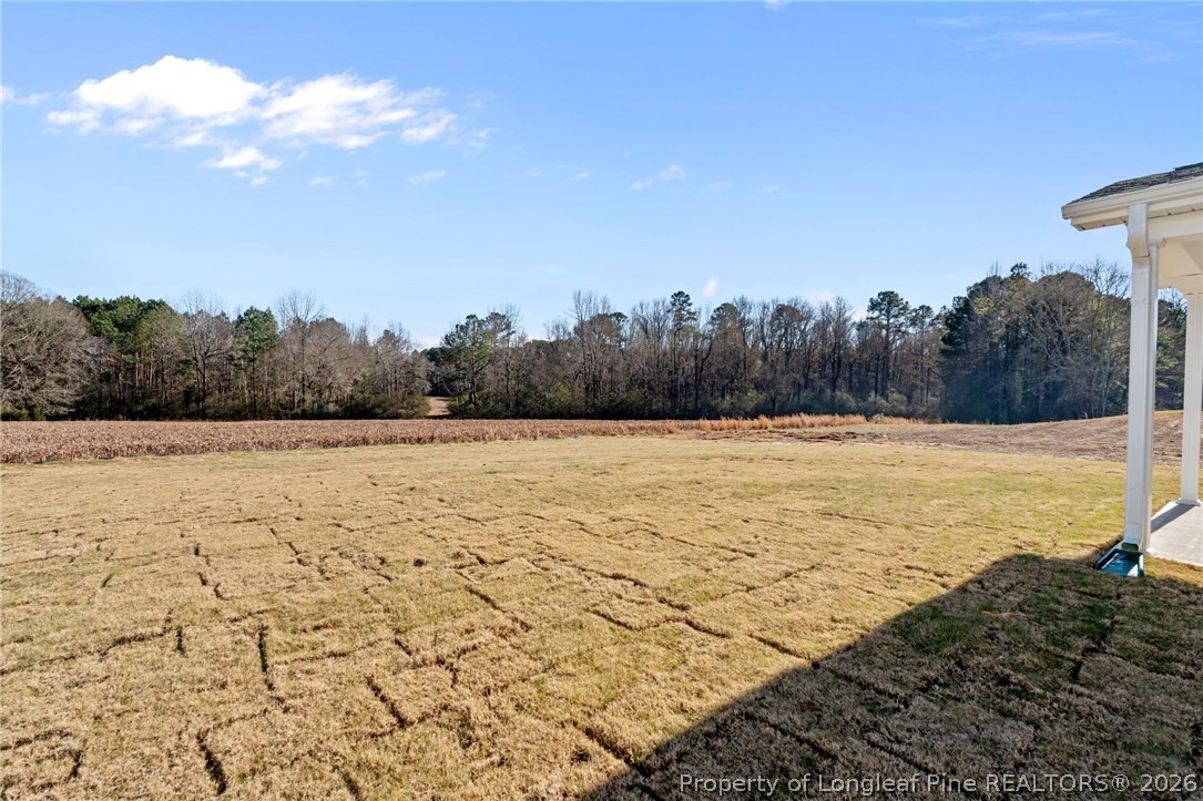 290 Elijah Way Vass, NC 28394 - Photo 45 of 45 a view of an ocean beach and mountain